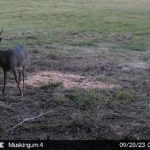 Muskingum Hunting Property