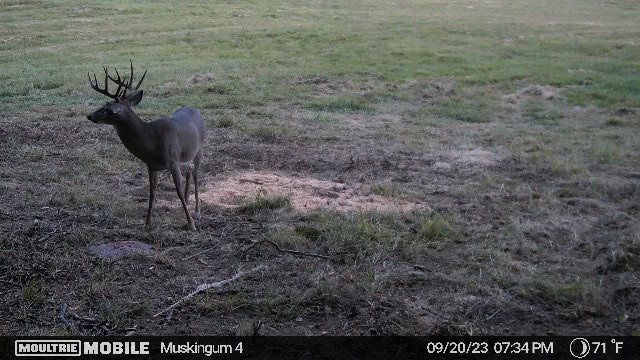 Muskingum Hunting Property