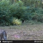 Muskingum Hunting Property