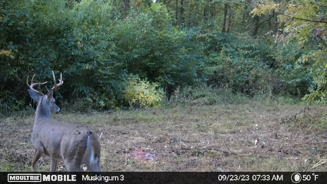 Muskingum Hunting Property