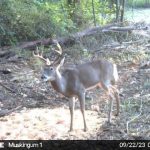 Muskingum Hunting Property