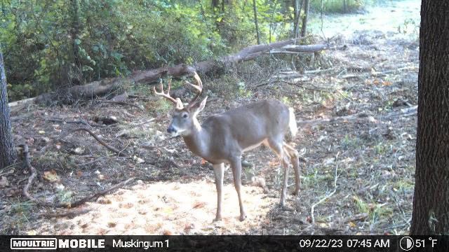 Muskingum Hunting Property