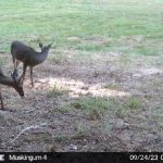 Muskingum Hunting Property