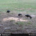 Muskingum Hunting Property