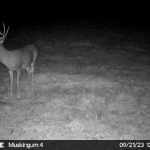 Muskingum Hunting Property