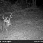 Muskingum Hunting Property