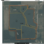 Shelby County Farm & Homestead