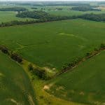 37+/- Acre Farm Allen County – Auglaize Township