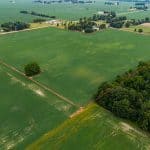35 +/- Acre Farm