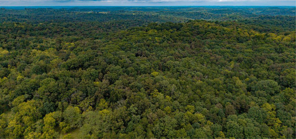 Gail County 81+ Auction Tract 2