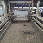 26 South Street, Leipsic, OH 45856