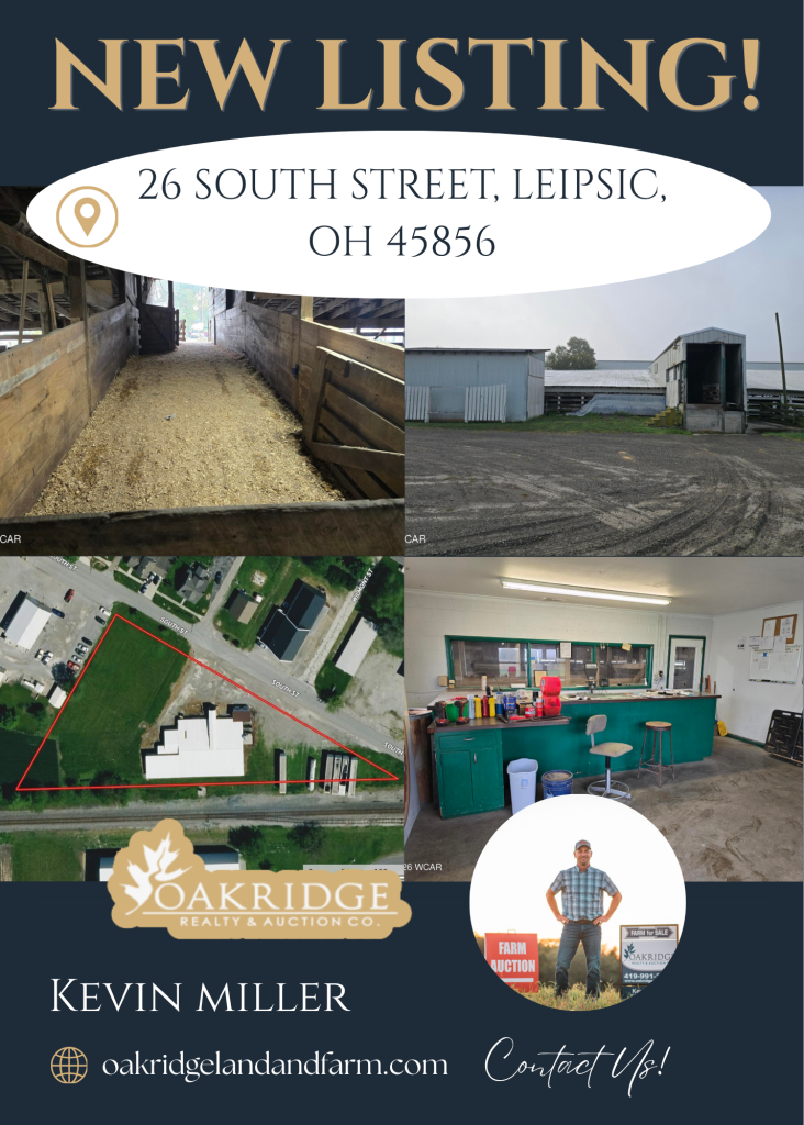 26 South Street, Leipsic, OH 45856